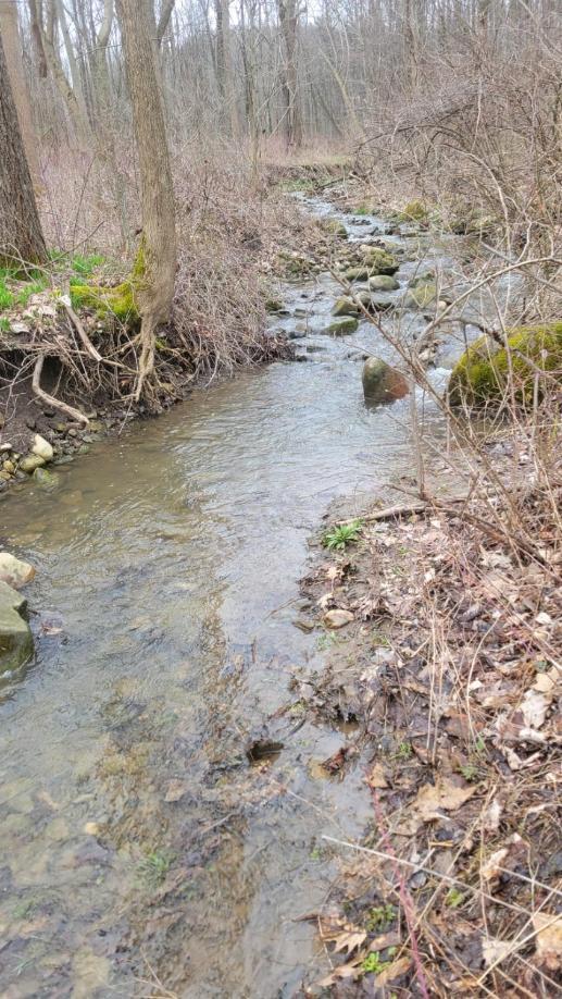 Firefly Creek Lodge Livonia Luaran gambar