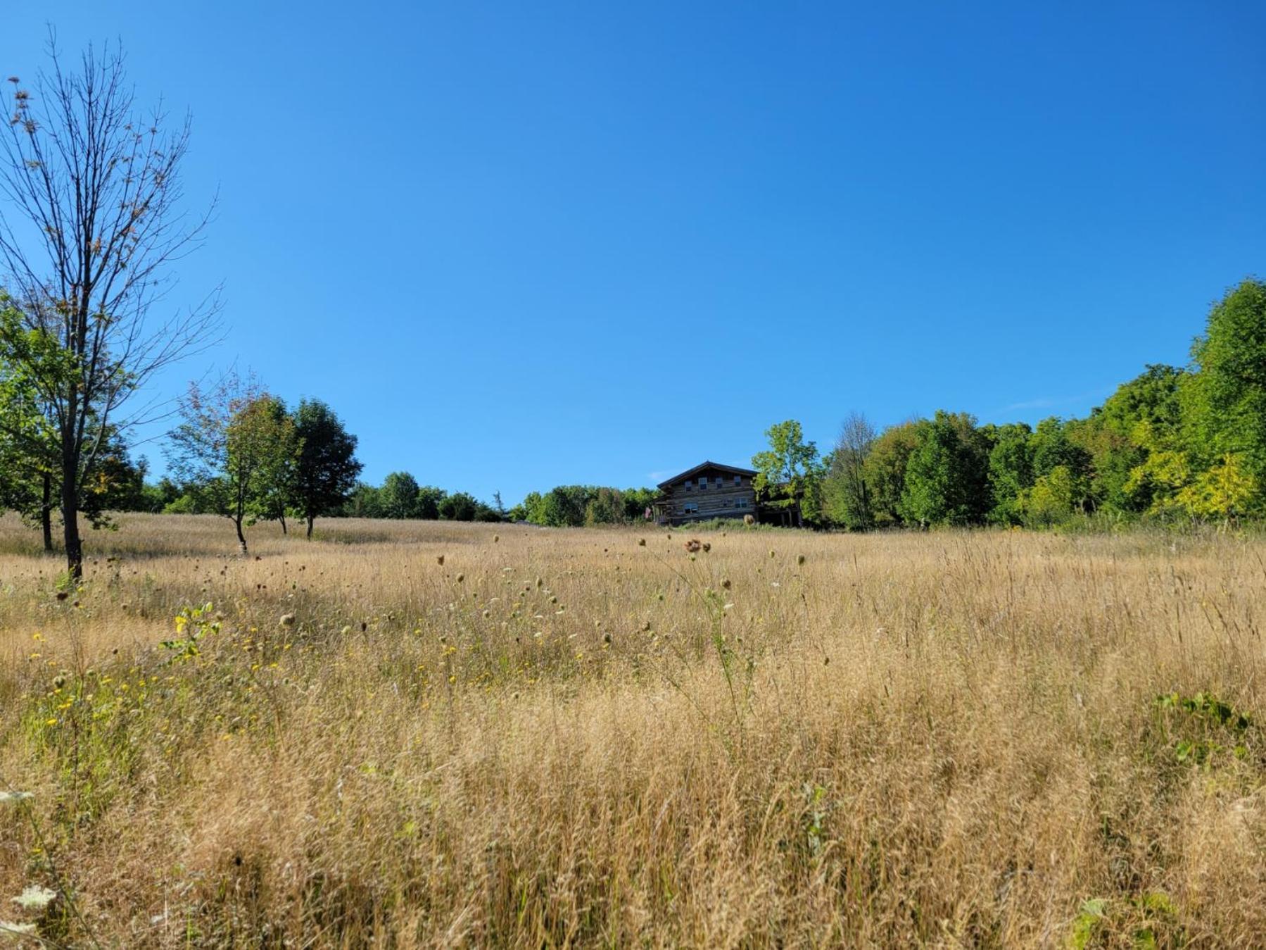 Firefly Creek Lodge Livonia Luaran gambar